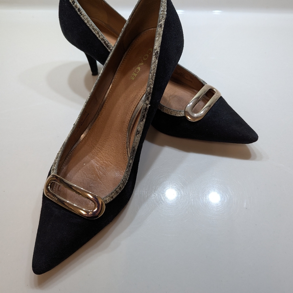Coach Black Suede Pointed Toe Mid-Heel Pumps with Gold Buckle